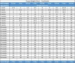 Expository Pound Chart Weight Calories Height Weight Chart