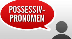 Die schlange hat ihre haut abgestreift. Possessivpronomen In Der Polnischen Sprache