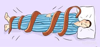 Image result for Snakes Parties, Snakes Tales, Parts And Pieces.