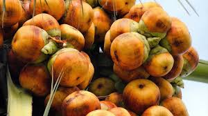 How to cut open palm fruit.art of extracting and peeling of the fruit named as palmyra, the tree is known as borassus flabellifer ( asian palmyra palm, toddy. Yummy Asian Palmyra Palm Fruit Tree à¦¤ à¦² à¦«à¦² à¦— à¦› Youtube