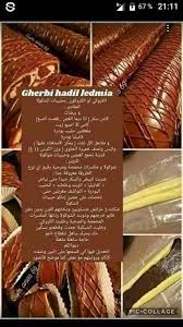 pin by miral mima on varietes culinaires algerienne arabic food homemade croissants algerian recipes