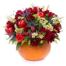 Probabil ca ai aflat deja ca anul acesta sunt in trend in cazul in care inca mai stai pe ganduri, admira galeria noastra de imagini. 39 Flori De Toamna Ideas Flori ToamnÄ Produse