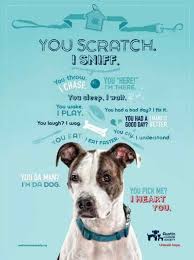 This includes handling all adoption appointments virtually. Animal Rescue Marketing Inspiration Charitypaws Animal Shelter Fundraiser Pet Adoption Center Pet Adoption