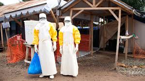 Der natürliche wirt des virus ist eine fruchtfressende fledermaus aus der familie pteropodidae, der nilflughund ( rousettus aegyptiacus ), der vor allem in afrika verbreitet ist. Marburg Fever In Guinea Who Sends Experts To The West African Country The News 24