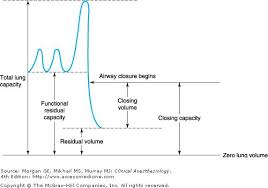 Image result for Functional Residual Capacity