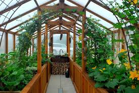 Kehadiran honda jazz sejak 2004 menjadikan pabrikan jepang itu sulit digeser dari. Rumah Hijau Dan Rumah Hijau Apakah Perbezaan Dan Perbezaan Jenis Dan Perbezaan Struktur Apa Yang Lebih Baik Untuk Dipilih