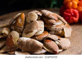 Image result for Irvingiaceae