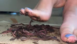 Bug crush content available 🤭 : rFootFetishStorytime