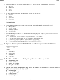Analyze how do the data support the hypothesis that dna, not protein, is the transforming principle? Ccr Biology Chapter 8 Practice Test Summer Pdf Free Download