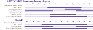 Berries Faqs Driscolls