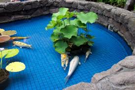 The best plants for a koi pond are ones that help oxygenate the water, provide valuable shade and shelter for your koi fish, and some plants can even be when it comes to designing and building your very own koi pond (or updating your current pond), your options are only limited by your imagination! Orange County S Pond Fountain Service Building Maintaining Fountains Koi Ponds Water Features In Anaheim Orange County Ca
