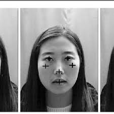 Face pictures with randomly added scars