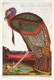 Pin By Eline Veenema On Illustratie In 2020 Walton Ford Art American Art