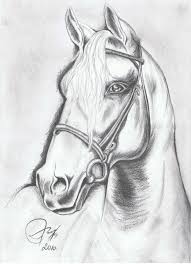 Pin By Diny Adema On Desenhos In 2020 Horse Art Drawing Horse Drawings Animal Drawings Sketches