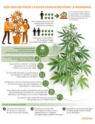 Plazo de cumplimiento de la sentencia del amparo en revisión 57/2019 (reglamento de cannabis) el pasado 30 de junio, la secretaría de salud. Regulacion De La Marihuana En Mexico Guia Completa Para Entender Que Esta Permitido Y Que No Infobae