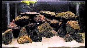 Using a few themed fish tank decorations or toys inside the aquarium. Purchase Fish Tank Decorations Diy Up To 77 Off
