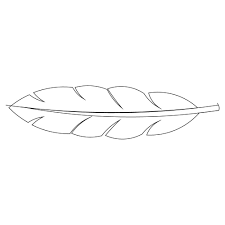 Feather Template Tubidportal Com Feather Template Feather Feather Printable Eagle feather line drawing at paintingvalley com explore. pinterest