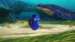 Some of those fish were really easy to recognize and others took a little more effort. Finding Dory Petition Asks Disney Pixar To Protect The Movie Fish The Hollywood Reporter