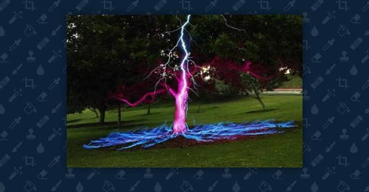 Is This Image a Long-Exposure Photograph of a Lightning Bolt Hitting a Tree? | Snopes.com