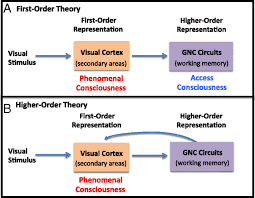 A Higher Order Theory Of Emotional Consciousness Pnas