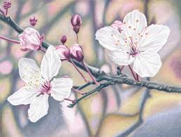 Check spelling or type a new query. Realistic Pencil Cherry Blossom Tree Drawing Novocom Top