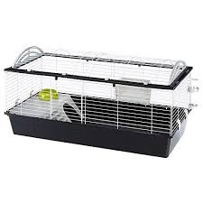 Maybe you would like to learn more about one of these? Buy Ferplast Large And Spacious Rabbits Cage Casita 120 Guinea Pigs And Small Animals House Rounded Openable Roof Accessories Are Included Made Of Varnished White Metal And Plastic 119 X58 X H