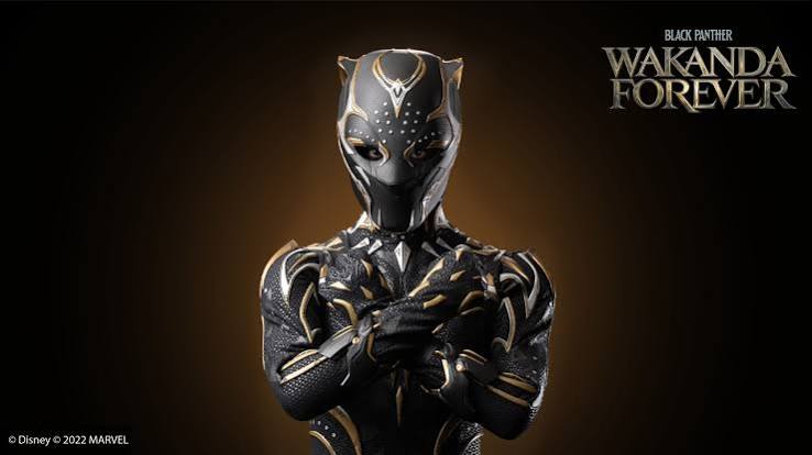 Black Panther: Wakanda Forever' Brings New Offerings Across Disney Parks -  Disney Parks Blog