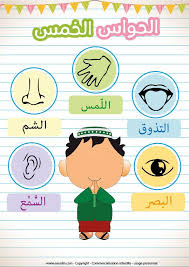Apprendre Les 5 Sens En Arabe Apprendre L Arabe Education Religieuse Langue Arabe