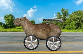 We did not find results for: Por Que Los Carpinchos Invadieron Las Redes Sociales