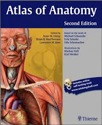 Atlas Of Anatomy 2nd Edition Gilroy Pdf Free Medical Books Atlas Anatomy Atlas Anatomy