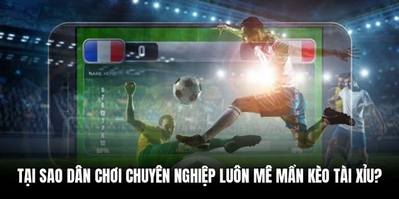 Kèo tài xỉu - Cách đọc bảng cược chuẩn xác cho người mới chơi - GP