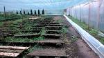 Snails Garden: Hodowla i przetwrstwo limakw, w tym kawioru
