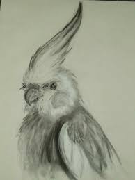 Flowers, drawing with simple pencil and coal on old white paper. 85 Simple And Easy Pencil Drawings Of Animals For Every Beginner