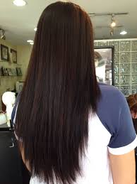 Classic and simple, dark brown hair offers the perfect base for red, blonde, caramel, and light brown highlights. Pin On Hair Ideas