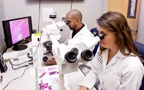A 2013 amendment to the german animal welfare act, with special regulations for monkeys, resulted in a near total ban on the use of great apes as laboratory animals. Why Animal Research Animal Research At Stanford Stanford Medicine