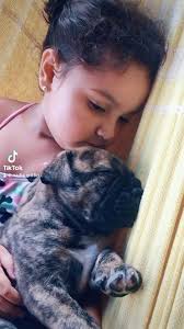 GRIFFINBULLS & ARGENTANGO “LA MARY” At her first training class