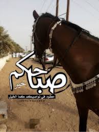 صباح الخير horses animals