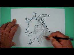 Dafür benötigt man ein motiv. Wie Zeichnet Man Einen Ziegenbock Zeichnen Nicht Nur Fur Kinder Youtube