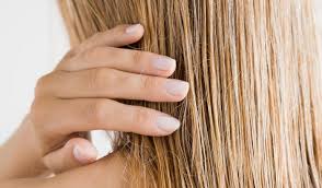 Recettes De Masque Cheveux Gras Maison Huile De Figue De Barbarie