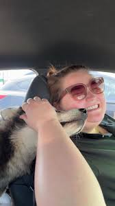 Dog rescued in Madison, Alabama