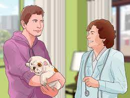 Let us know if this is ok. How To Care For A Dog With Brain Cancer 11 Steps With Pictures