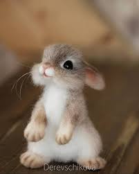 Pin By Diane Rockafellow On Needle Felting Naaldvilten Baby Animals Super Cute Cute Baby Bunnies Cute Animals