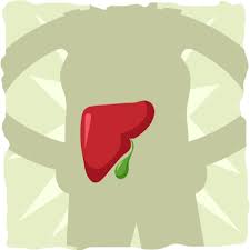 The Purpose Of The Gallbladder It S Not Just A Sack Of Liquid Ketogenic Diet Gallbladder Diet Gallbladder