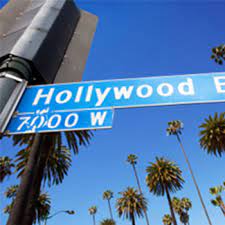 Find contact info for current and past residents, property value, and more. Los Angeles Lax Airport Car Rentals Economy Rent A Car