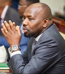 Ali shama (@Alishama3)