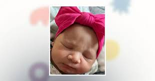 Alana L. Cook Obituary March 5, 2024