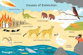 What Causes A Plant Or Animal To Go Extinct In 2020 Species Extinction Extinction Animals
