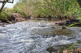 John river is a genius whose unstable mind leaves him haunted by the ghosts of murder victims. Successful Restoration Of Cornwall S River Camel Gov Uk