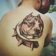 Black And White Pitbull Tattoos 50 Loyal And Friendly Pitbull Tattoo Meanings And Designs Pitbull Tattoo Dog Tattoo Pitbulls