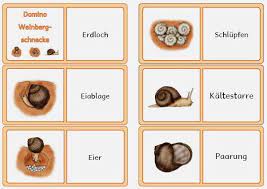 blog mit selbst erstellten unterrichtsmaterialien fur die grundschule volksschule zum download mathematik deuts schnecken krabbelwiese unterrichtsmaterial